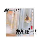 我が魚たち（個別スタンプ：8）