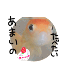 我が魚たち（個別スタンプ：10）