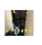 ちびちゃんたーち（個別スタンプ：8）