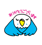 インコのタロちゃん（個別スタンプ：9）