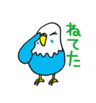 インコのタロちゃん（個別スタンプ：10）