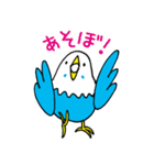 インコのタロちゃん（個別スタンプ：11）