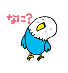 インコのタロちゃん（個別スタンプ：24）