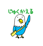 インコのタロちゃん（個別スタンプ：29）