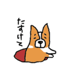 ゆるーい犬（個別スタンプ：16）