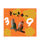 コザクラインコのリリーとジョニー②（個別スタンプ：12）