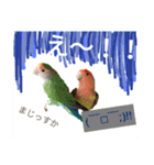 コザクラインコのリリーとジョニー②（個別スタンプ：14）