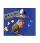 コザクラインコのリリーとジョニー②（個別スタンプ：18）