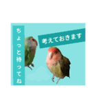 コザクラインコのリリーとジョニー②（個別スタンプ：20）