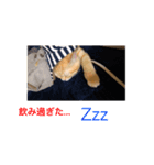 スカマリさん♩♩（個別スタンプ：5）