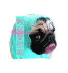 Pug＆French bulldog monster village（個別スタンプ：7）