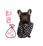 French Bulldog Daily mood（個別スタンプ：19）