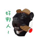 French Bulldog Daily mood（個別スタンプ：21）