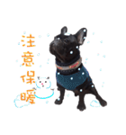 French Bulldog Daily mood（個別スタンプ：38）