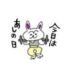 Muscle training Rabbit（個別スタンプ：5）