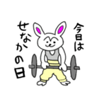 Muscle training Rabbit（個別スタンプ：6）