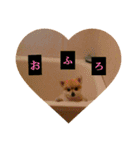 doglovefamily（個別スタンプ：2）