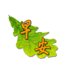 Greeting Leaves with Pure Mind (1)（個別スタンプ：3）