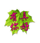 Greeting Leaves with Pure Mind (1)（個別スタンプ：10）