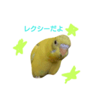 yellow bird rexy（個別スタンプ：8）