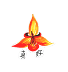 alcohol marker orchid（個別スタンプ：8）
