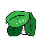 cute frog 「ケロっち」（個別スタンプ：10）