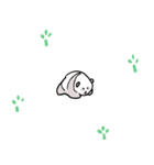 Panda Special Sticker（個別スタンプ：6）