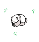 Panda Special Sticker（個別スタンプ：9）