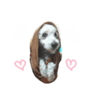 BaiPor White Poodle（個別スタンプ：21）