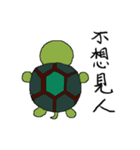 Six turtles（個別スタンプ：3）