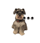 Happy, the miniature schnauzer（個別スタンプ：11）