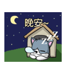 Calm Dog and violent cat（個別スタンプ：6）