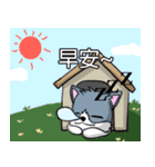 Calm Dog and violent cat（個別スタンプ：7）