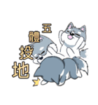 Calm Dog and violent cat（個別スタンプ：27）