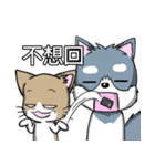 Calm Dog and violent cat（個別スタンプ：31）