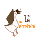 Paloh The funny goose（個別スタンプ：2）