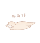 small clawed otter（個別スタンプ：33）