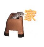 ごましおの日々（個別スタンプ：3）