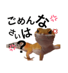 ごましおの日々（個別スタンプ：4）