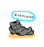 野良猫「ゴンゾウ」（個別スタンプ：38）