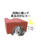 こはるびより①（個別スタンプ：15）