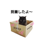 黒猫のジジとキキ。（個別スタンプ：14）