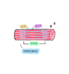 Biomommy（個別スタンプ：14）