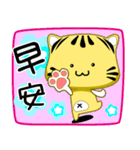 A small Yellow striped cat（個別スタンプ：1）