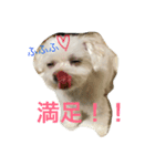 えんじぇるとれおんのスタンプ（個別スタンプ：3）