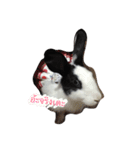 piakpoonthebunny（個別スタンプ：4）