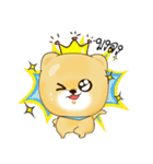 Booboo the Pomeranian（個別スタンプ：5）