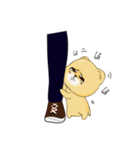 Booboo the Pomeranian（個別スタンプ：24）