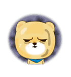 Booboo the Pomeranian（個別スタンプ：34）