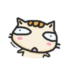 Sanjo Cat（個別スタンプ：1）